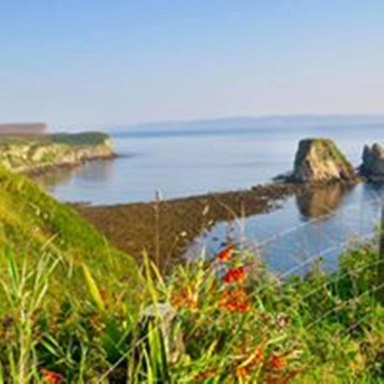 Windhaven Camping And B&B Турсо Экстерьер фото